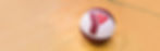 20220705_0072_YTRwebsite_About_2013x640_SM.jpg