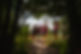 Registration Get Ready for Camp.jpg